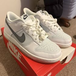 Nike dunks 5.5Y
