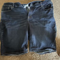Lane Bryant Denim Shorts