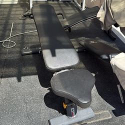 Exercise Bench