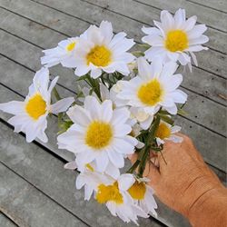 Assorted Artificial Flowers- See Pics