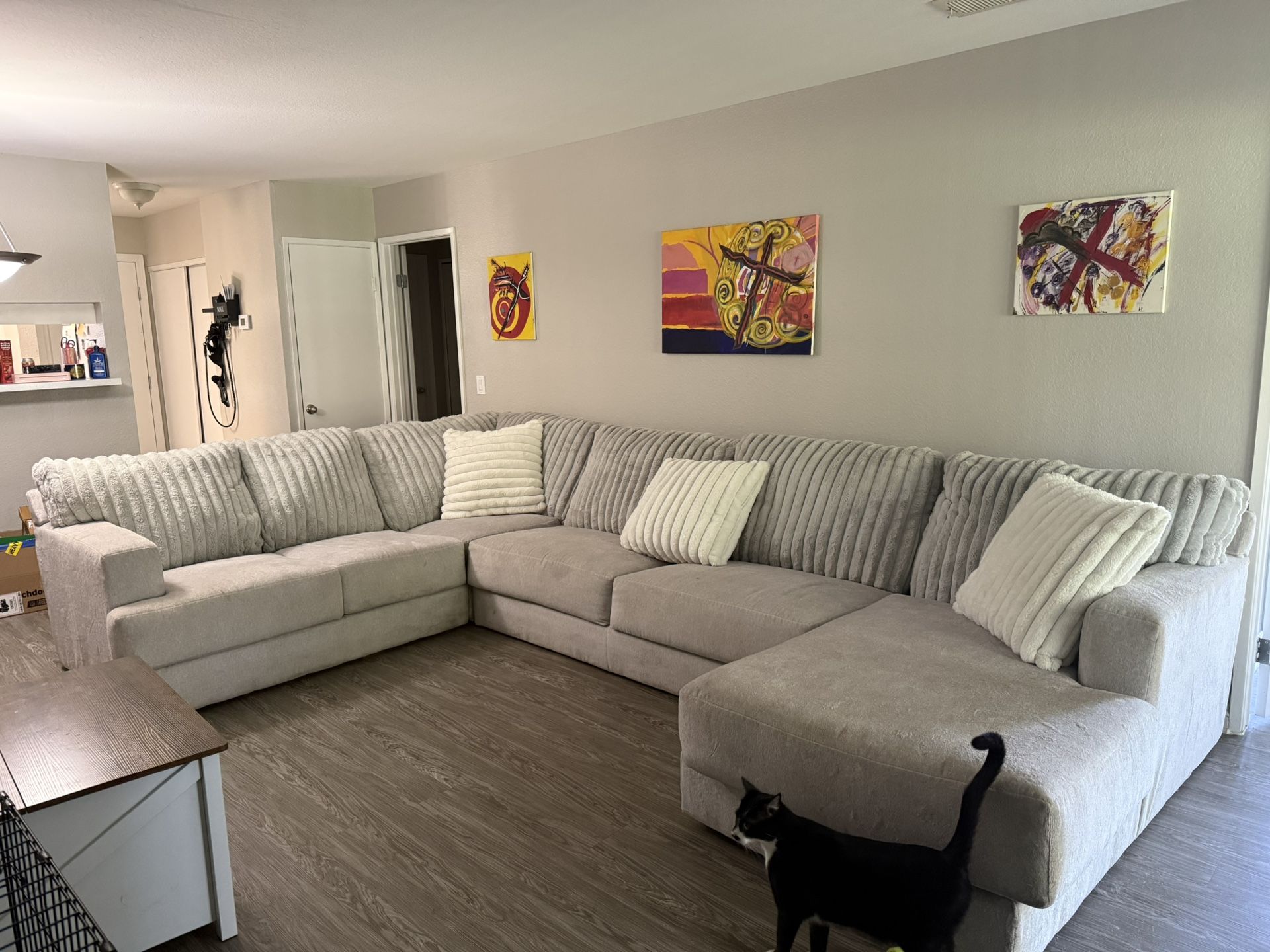Sectional Couch