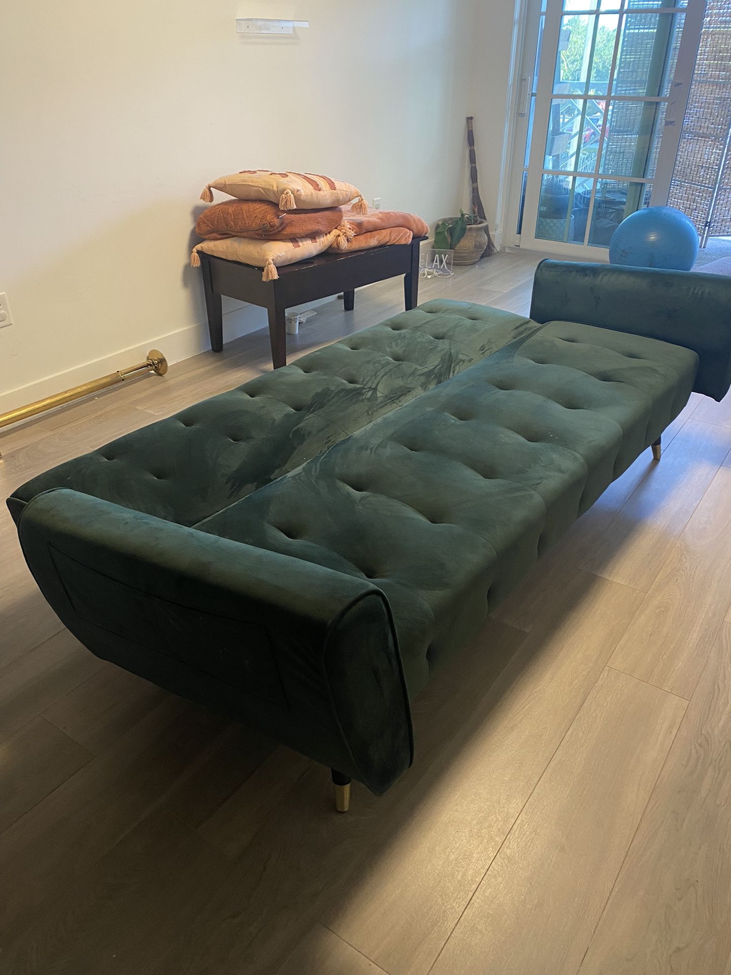 Sofa/ Sleeper (Moving Out)