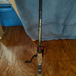 Fishing Rod and Reel 
