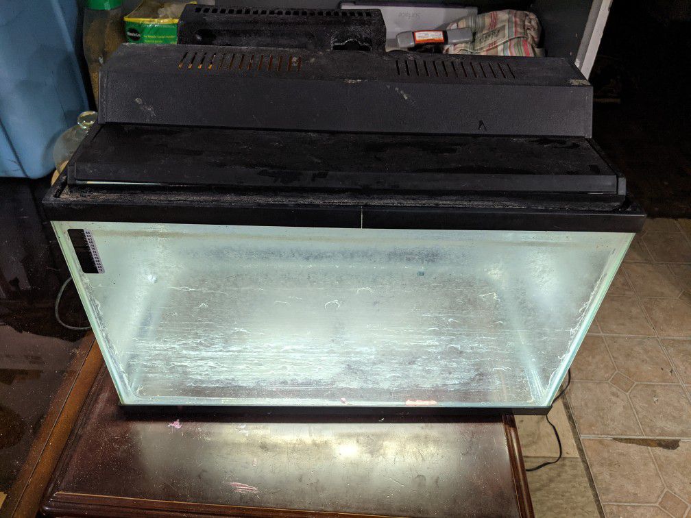 2 Fish Tanks With Extras 