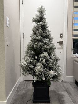 Small Christmas Tree
