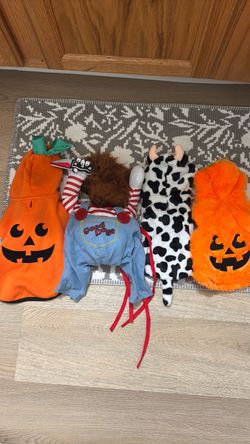 Halloween dog clothes, size S