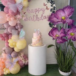 Butterfly theme  balloon Styling