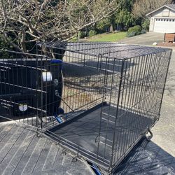 Large Medium Dog Kennel Crate Collapsible in Good Condition 36” L by W 22” H “24