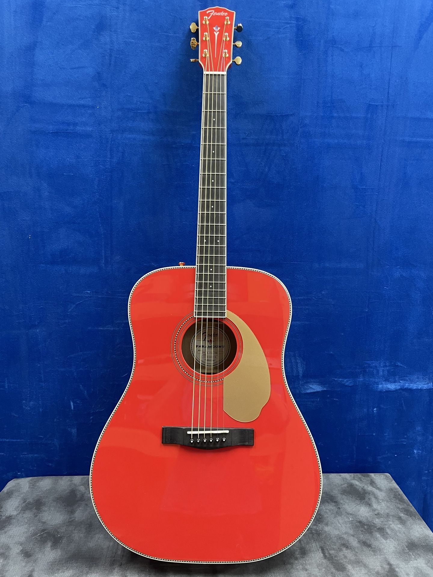 Fender PM-1E ACOUSTIC Guitar