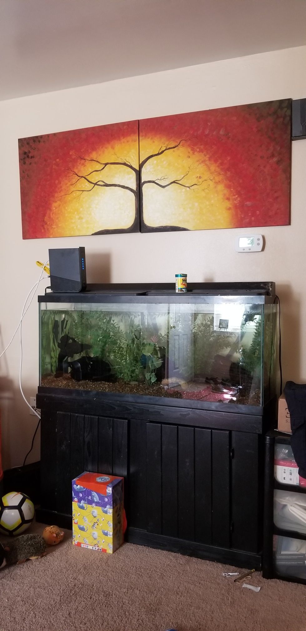 55 Gallon fish tank with stand!