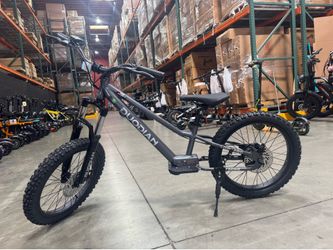 E bike