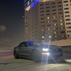 2019 Ford Mustang