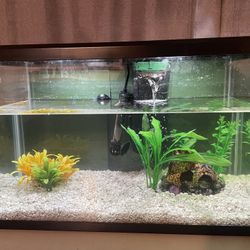 10 Gallon Fish Tank