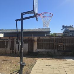 Basketball Hoop 