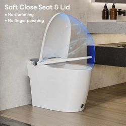 Wholesale and retail all-in-one elongated toilet with cleaning function, ADA comfortable seat height, foot flush,  1.0GPF Button  W10V