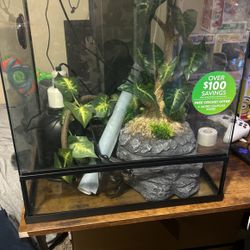 Reptile Cage