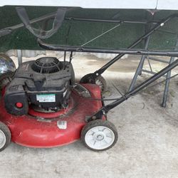 Lawn Mower (gas)