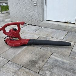 Toro Ultra Blower