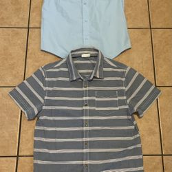 👕 Camisas