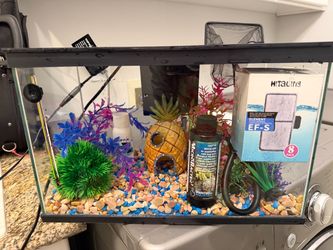 Fish tank