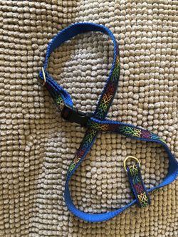 Harness and collar gently used