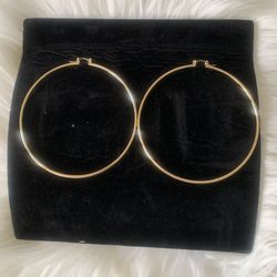 Loop Earrings 