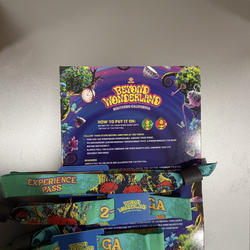 Beyond wonderland 2-day pass GA