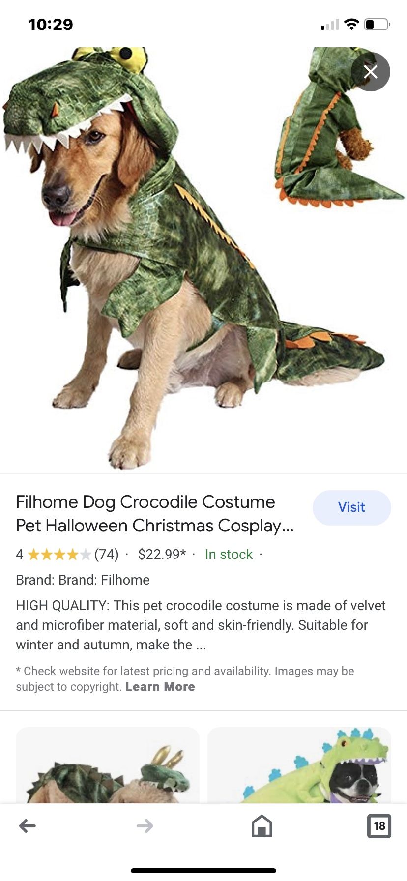 Dog Halloween Custom For AA Medium Size Dog