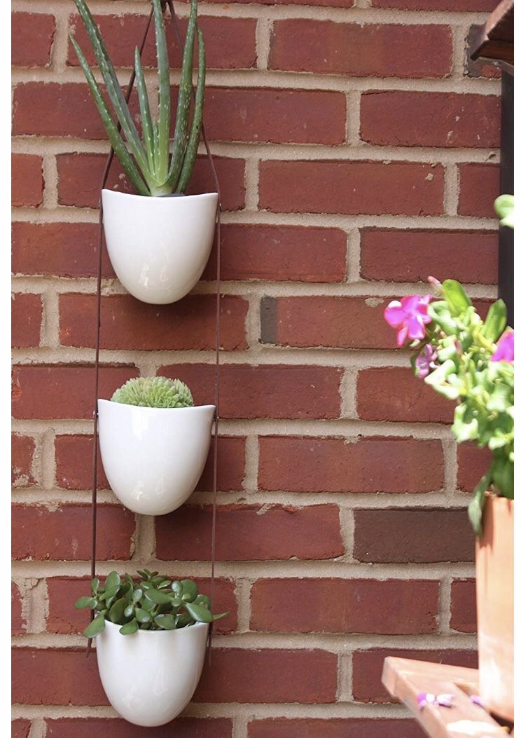 Hanging planter succulent cactus flower pots