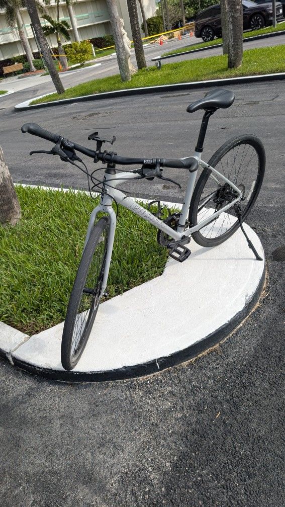 Giant Escape 2 Disc Medium Frame