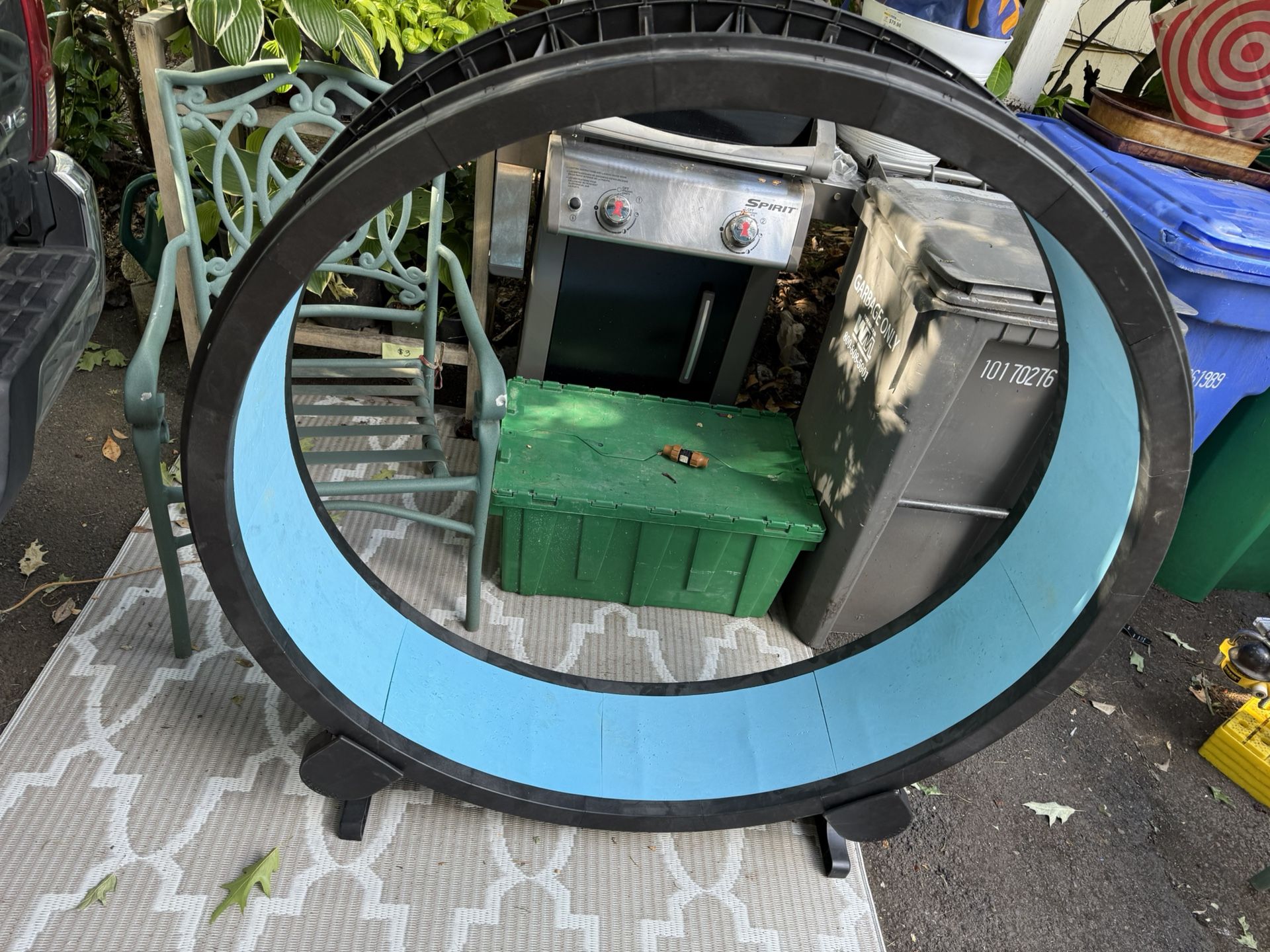 ‘One Fast Cat’ Exercise Wheel