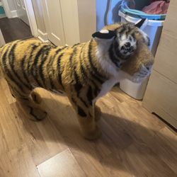 FAO Tiger 