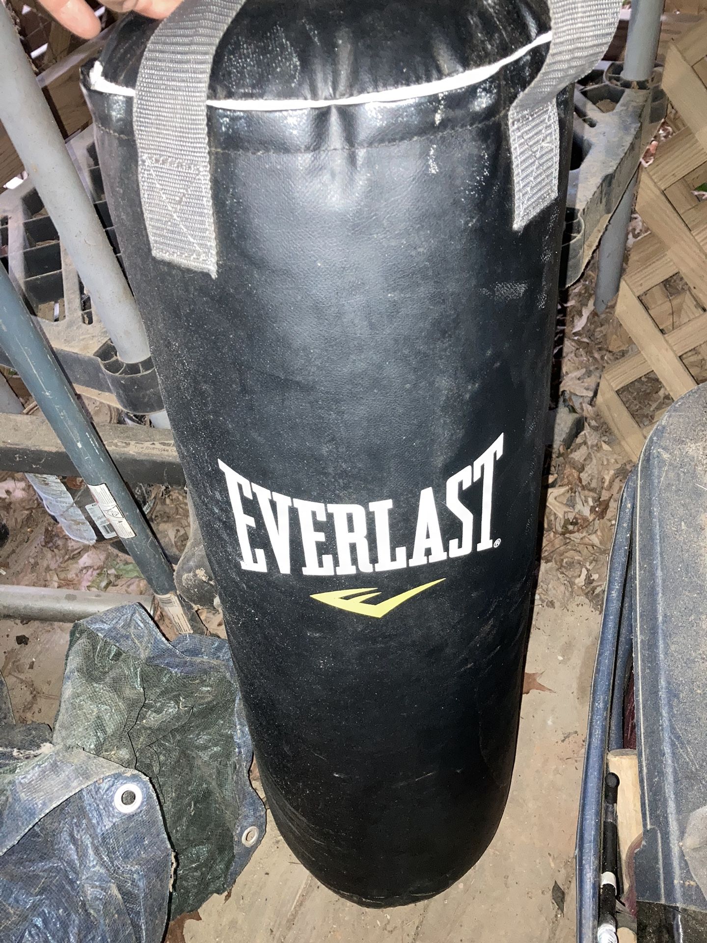 Punching Bag 50lbs Everlast With Pair Of Gloves