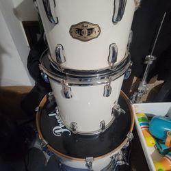 Pear Drums Vision Series All Maple Shell(rare)