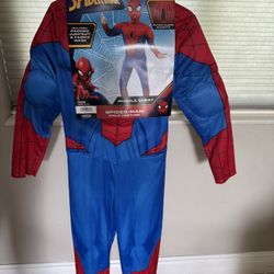 Spiderman Costume Child Large
