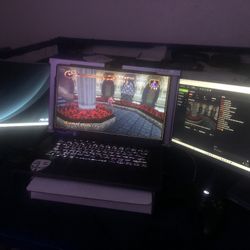 Double Portable Laptop Monitors One Cord 190$