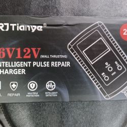 pulse repair charger