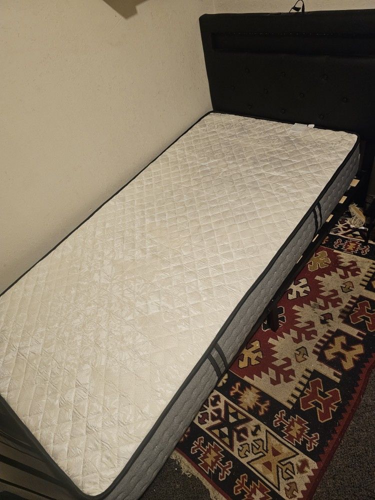 Twin BED & Mattress (Like New)
