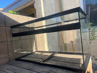 Reptile Habitat