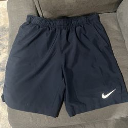 Nike Dri-Fit Shorts Mens Size M