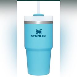 Brand New 20 oz Stanley Quencher H2.0 Flowstate Tumbler for Sale in Salt  Lake City, UT - OfferUp