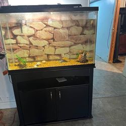 fish tank 