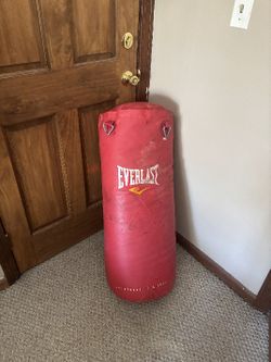 Everlast 60lb Punching Bag (Chains Included)