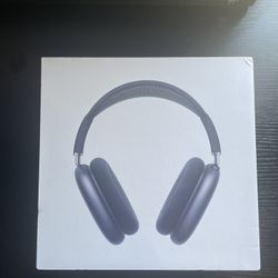 AirPod Max Space Gray (no case)