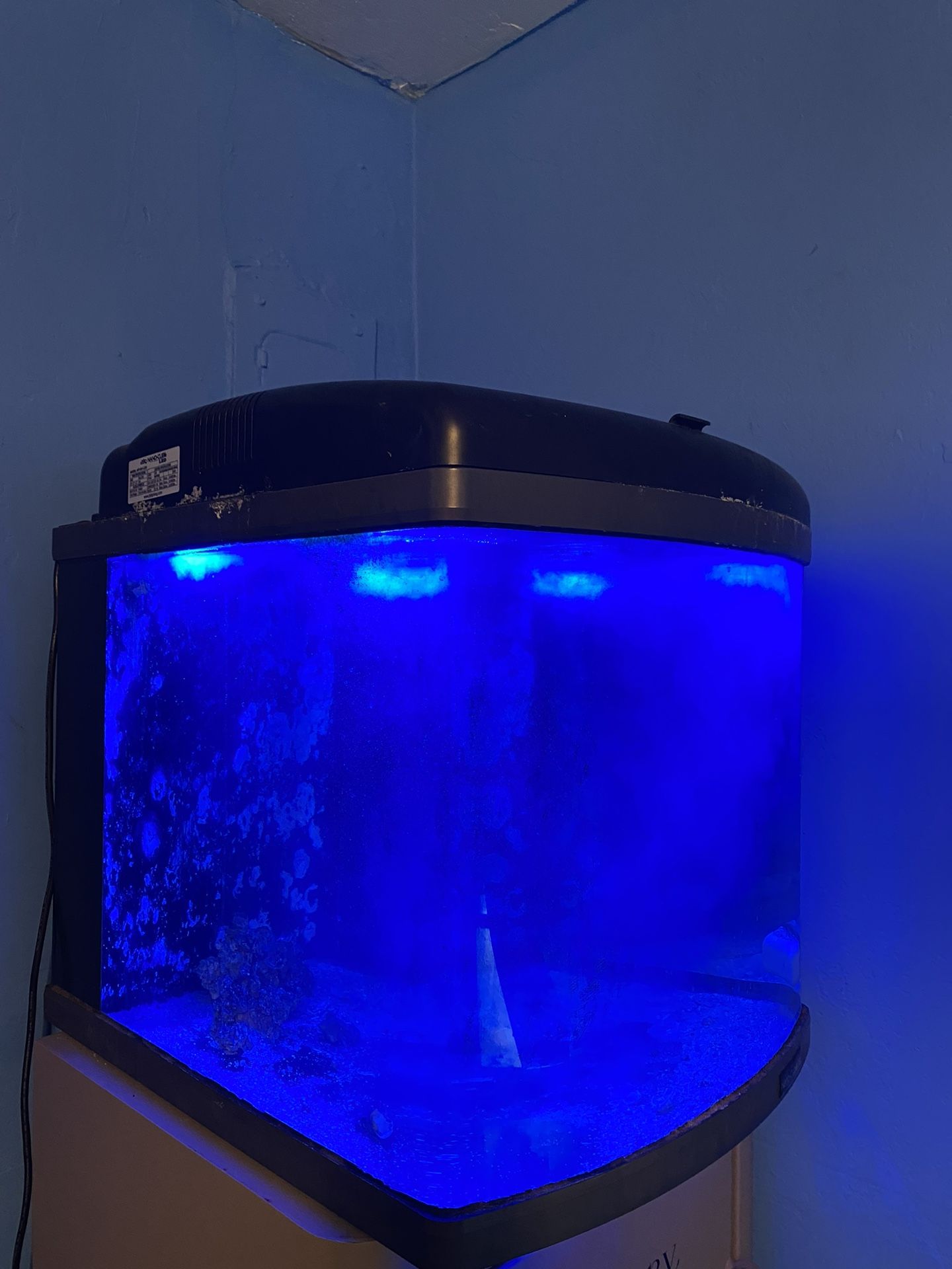 Bio Cube 28 Gallons for Sale in Hialeah Gardens, FL - OfferUp