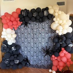 Balloon Arch - used/1 day old