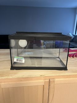 Glass Cage