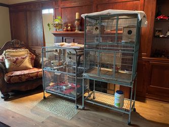 Cage $150 for 1