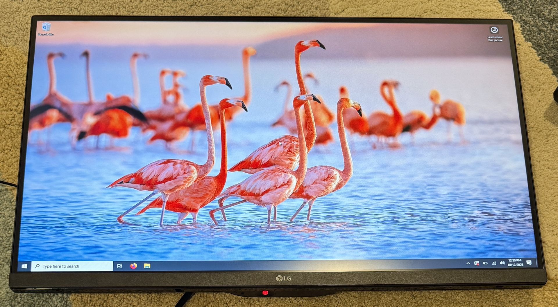 LG 27GL850 27" PC Monitor Screen