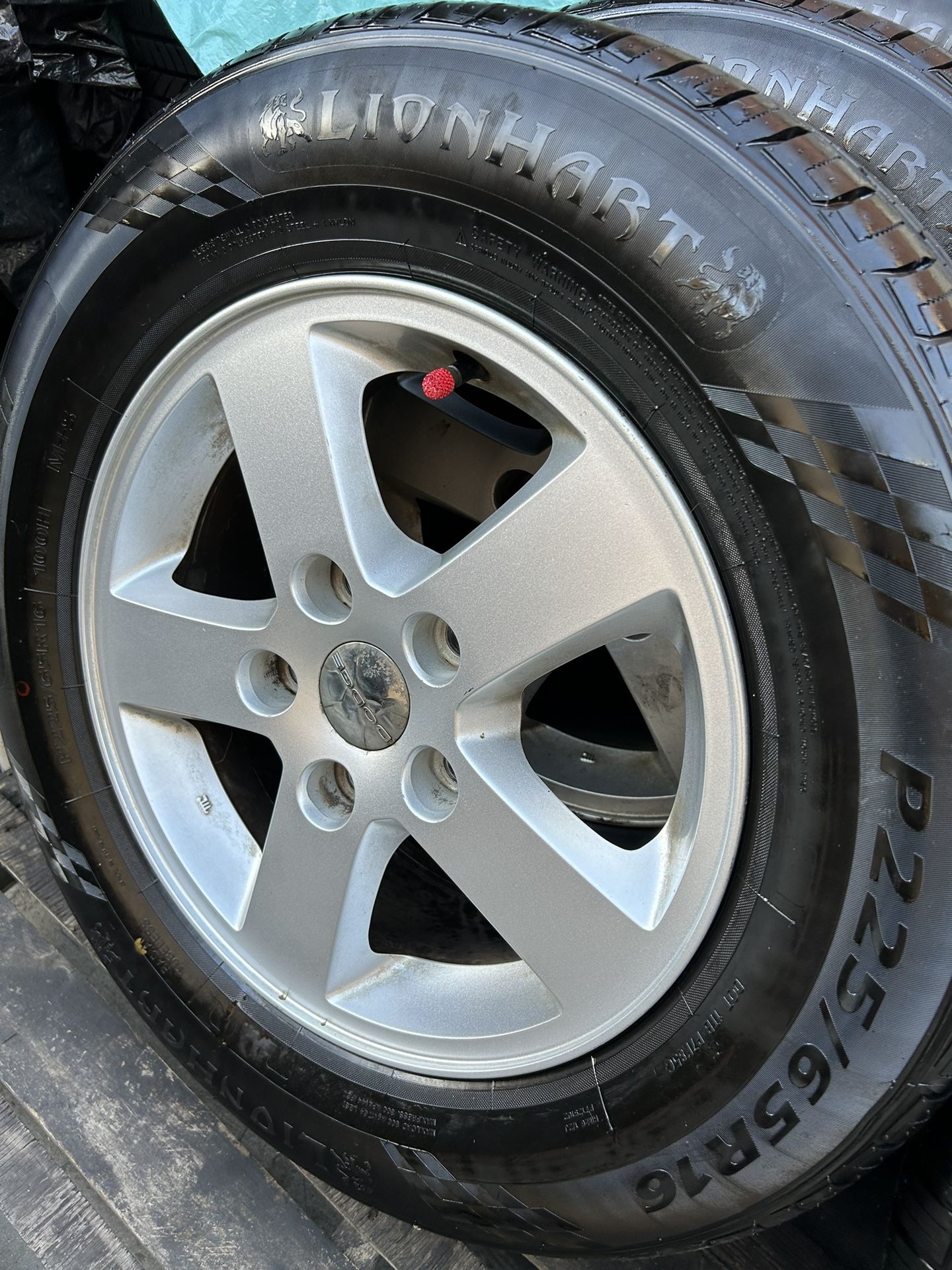 4- LION HART RADIAL SPORTS